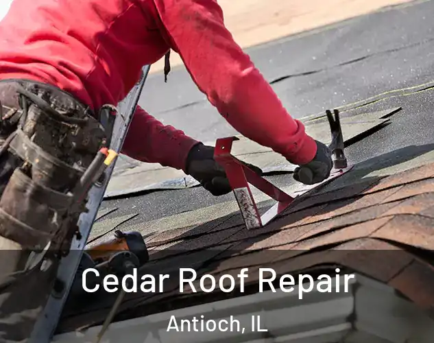  Cedar Roof Repair Antioch, IL