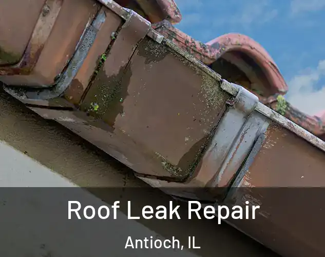  Roof Leak Repair Antioch, IL