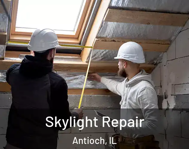  Skylight Repair Antioch, IL
